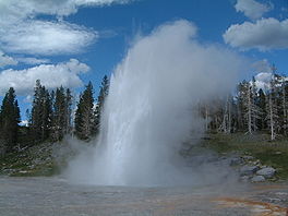 Foto toont de explosieve uitbarsting van de Yellowstone Grand Geyser. Waarbij water vele meters hoog de lucht in spuit.