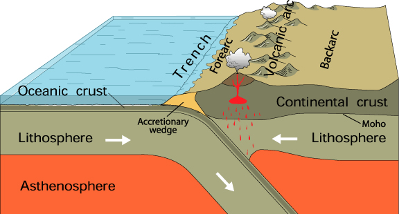 Illustratie van een convergente plaatgrens. Waarbij een oceanische plaat botst tegen een continentale plaat.