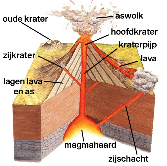 Deze illustratie toont een dwarsdoorsnede van een vulkaan tijdens een vulkaanuitbarsting. Centraal in de dwarsdoorsnede zien we de magmahaard, waarin zich de magma bevindt. Tijdens een vulkaanuitbarsting baant de magma zich een weg naar de aardoppervlakte toe door scheuren in de aardkorst (zoals de kraterpijp). Tijdens zo'n vulkaanuitbarsting komt een combinatie van lava en vulkanische as uit de hoofdkrater van de vulkaan. Ophoping van lagen lagen lava en as rond de basis van de kraterpijp leidt tot de vorming van de vulkaan.