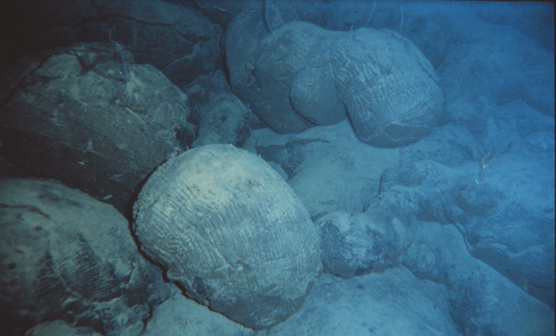 Foto van kussenlava op de oceaanbodem bij Hawaii.